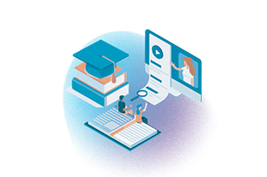 Professional Bachelor